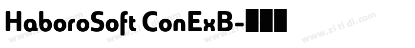 HaboroSoft ConExB字体转换 HaboroSoft ConExB字体转换